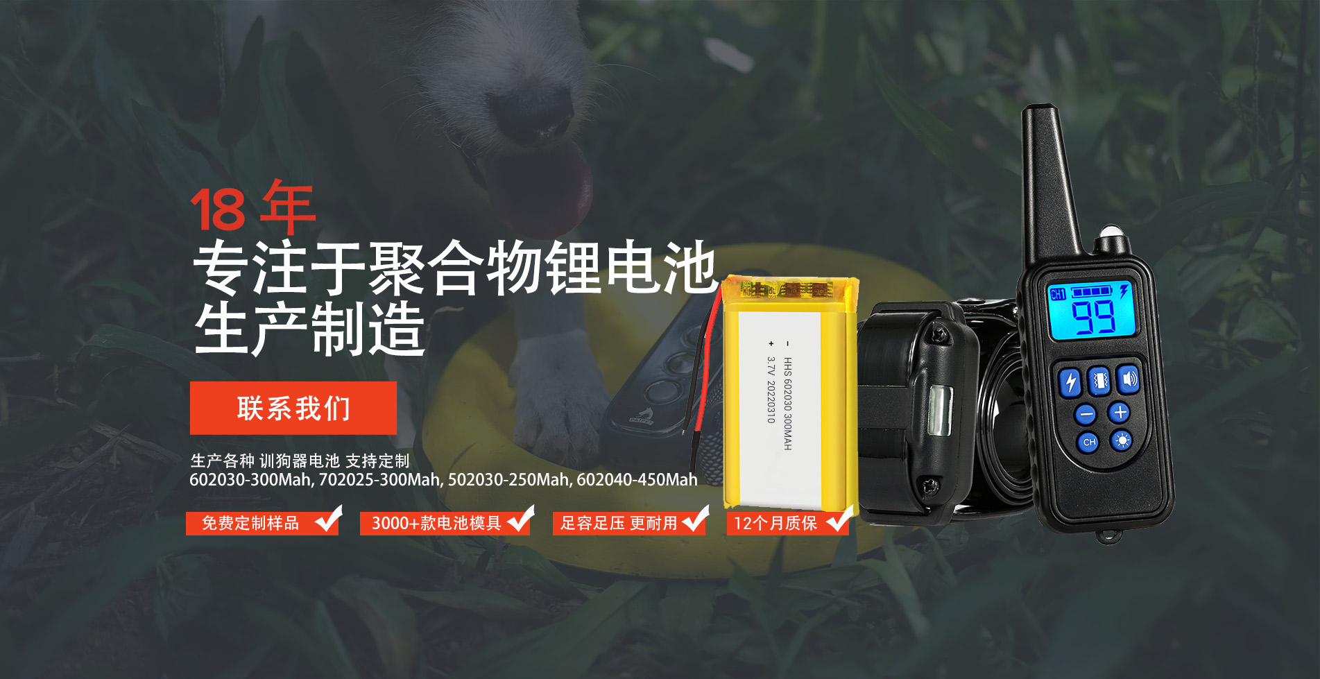 锂离子电池